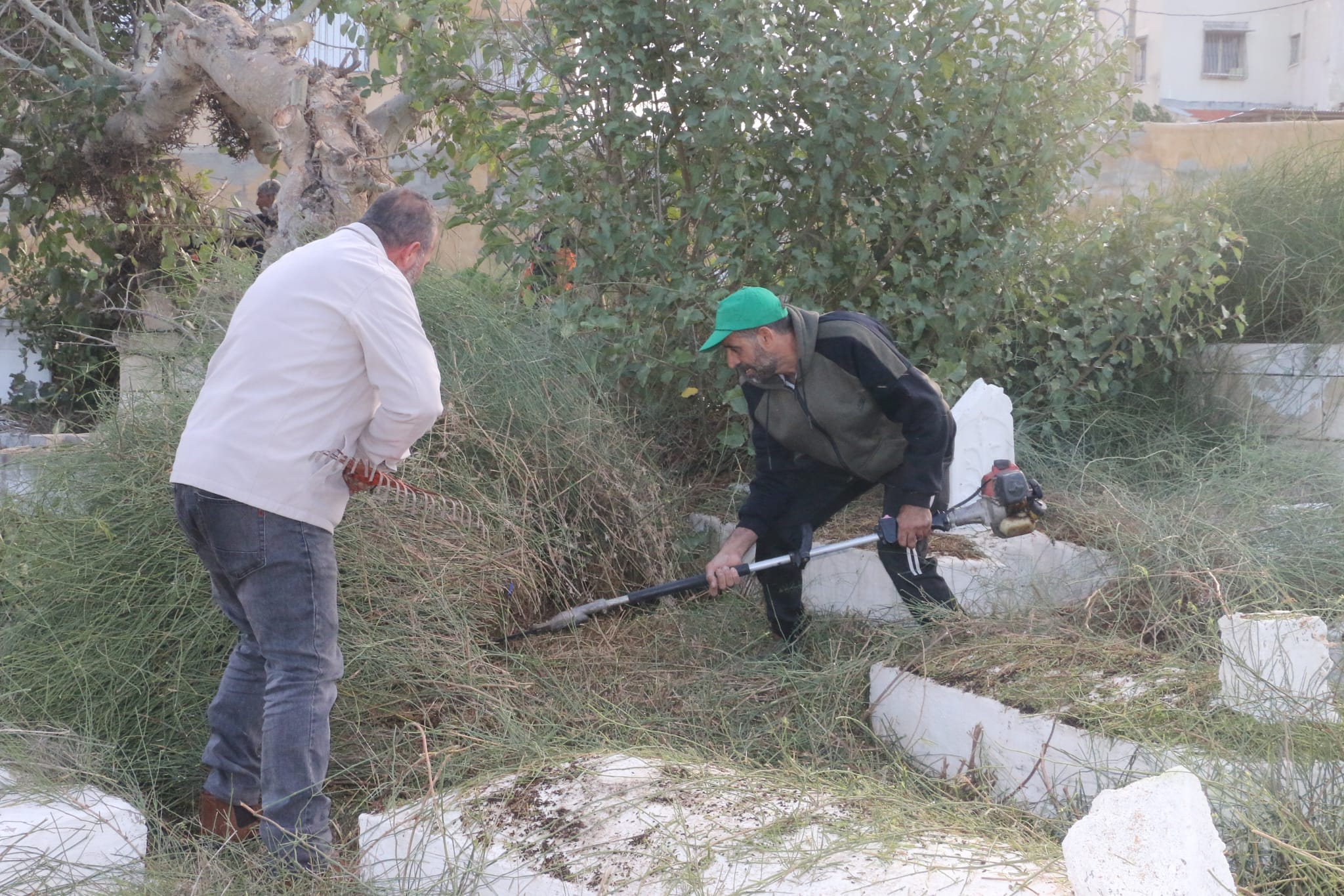 WhatsApp Image 2022-11-26 at 8.52.31 AM.jpeg